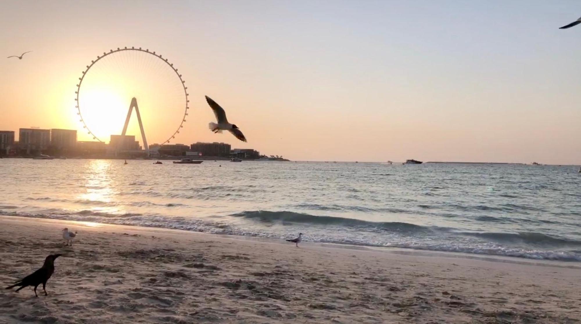 Jbr Beachfront Luxe Apartment All Rooms Sea Facing 두바이 외부 사진
